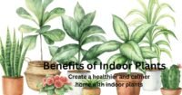 Benefits of Growing Indoors