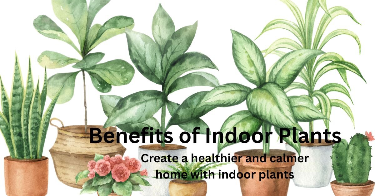 Benefits of Growing Indoors