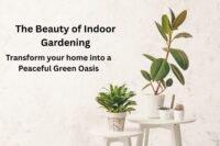 The Beauty of Indoor Gardening