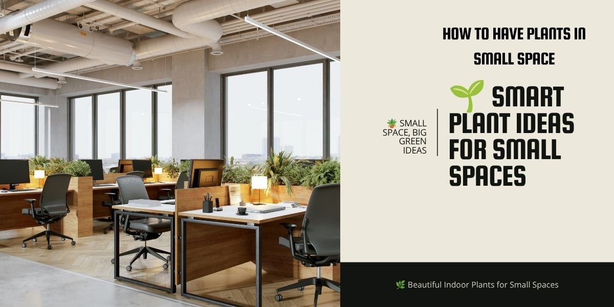 🌿How to Have Plants in Small Space: Easy Ideas for Small Homes and Apartments