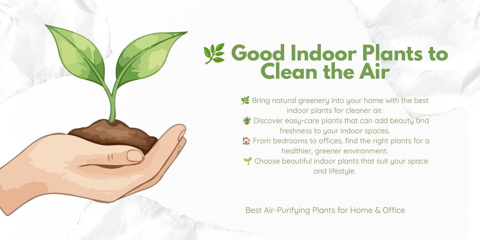 🌿  Good Indoor Plants to Clean the Air: Best Air-Purifying Houseplants