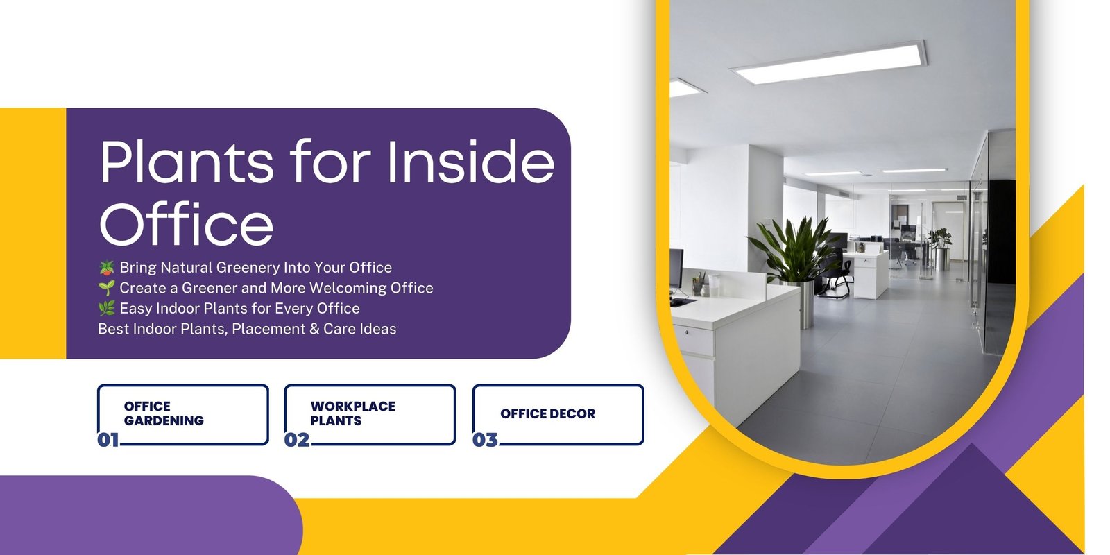 🌿 Plants for Inside Office: Best Indoor Plants and Placement Ideas