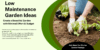 Low Maintenance Garden Ideas to Create a Beautiful Outdoor Space Easily - Post Thumbnail