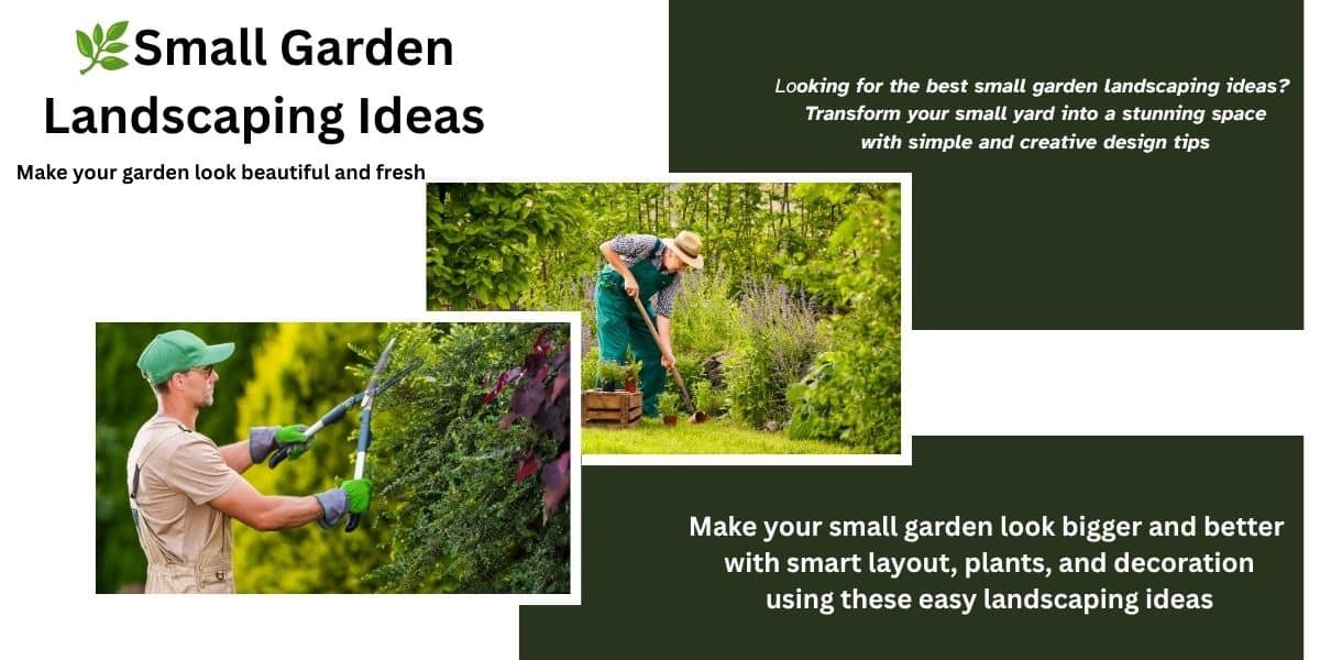🌿Small Garden Landscaping Ideas to Transform Your Outdoor Space