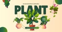 Best Indoor Plants for Small Spaces