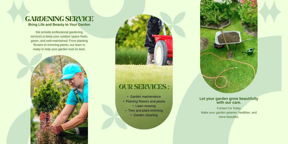 🌿How to Make Your Yard Look Great