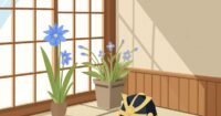 Tips for Maintaining Indoor Plants