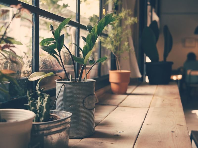 Indoor winter garden ideas for small spaces