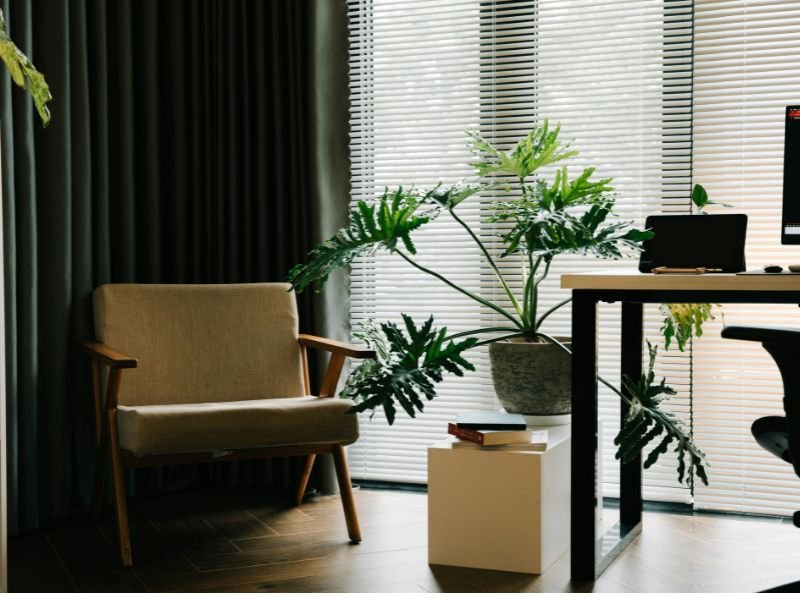 Small plants for inside office