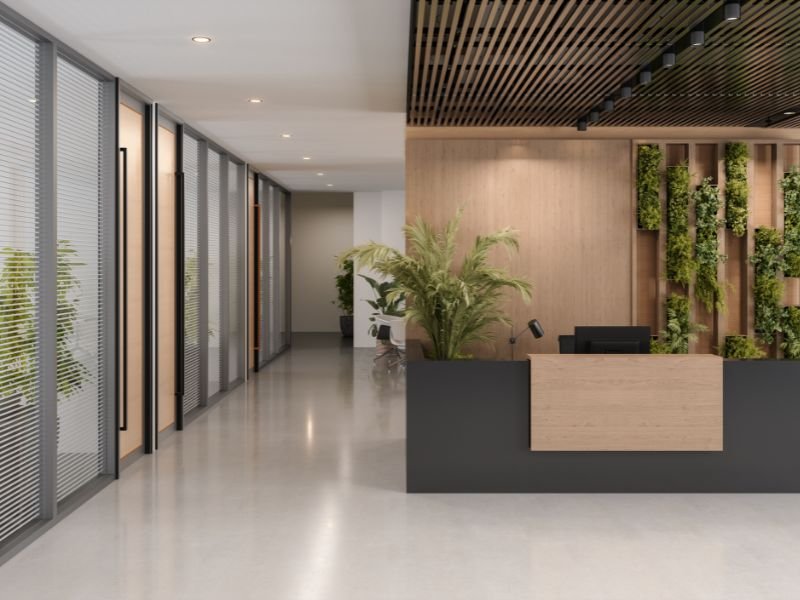 Plants for inside office rooms