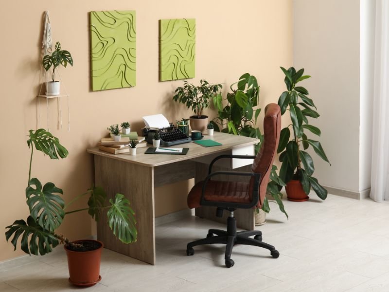 Plants for inside office workspace