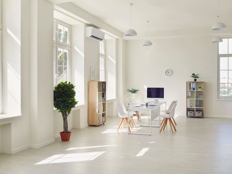 Plants for office with windows