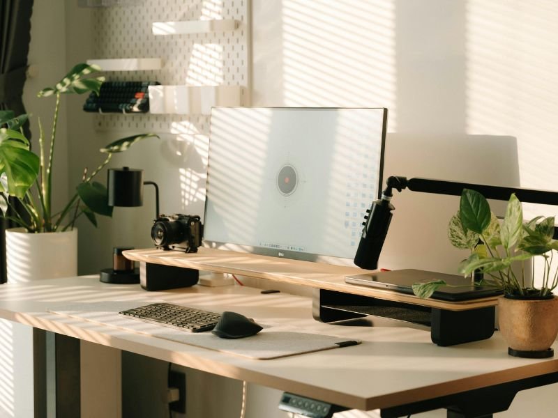 Best plants for inside office