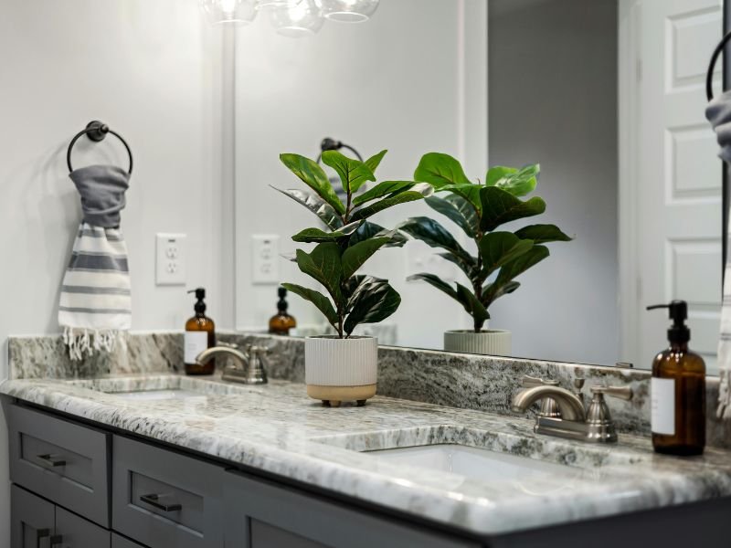 Good indoor plants to clean the air at home