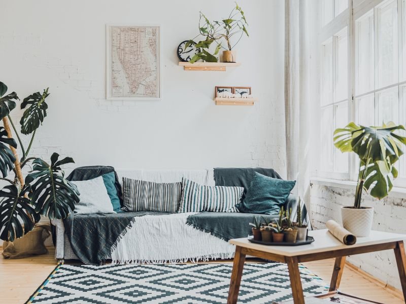 Indoor plants for better air quality