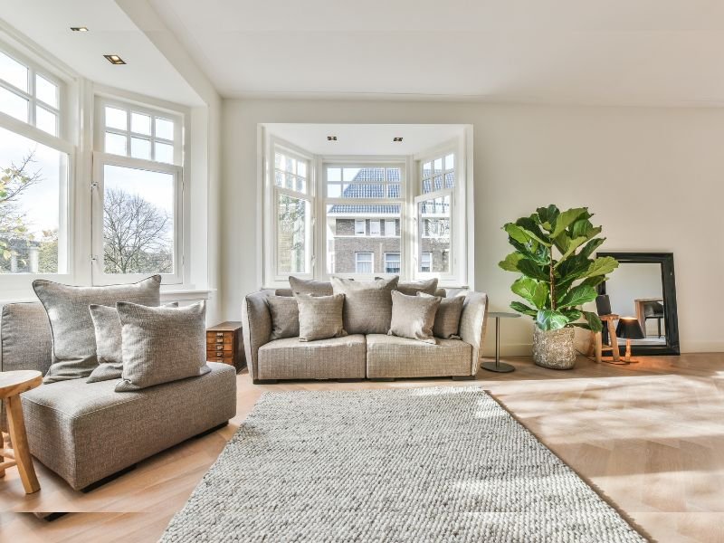 Good indoor plants to clean the air