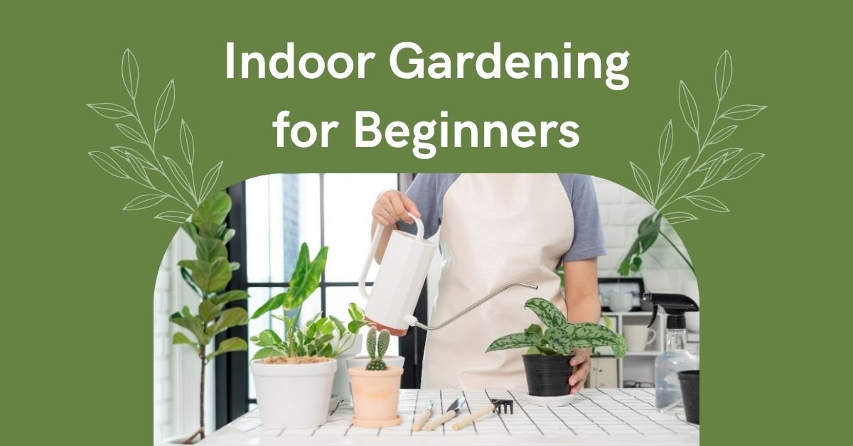 Indoor Gardening for Beginners Step by Step: A Complete Guide to Growing Plants Indoors