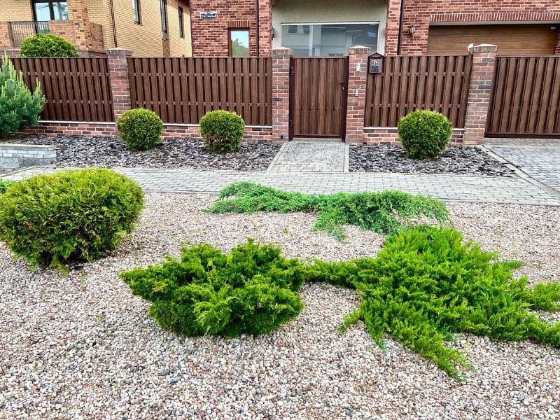 how to make your yard look great with plants and outdoor decor