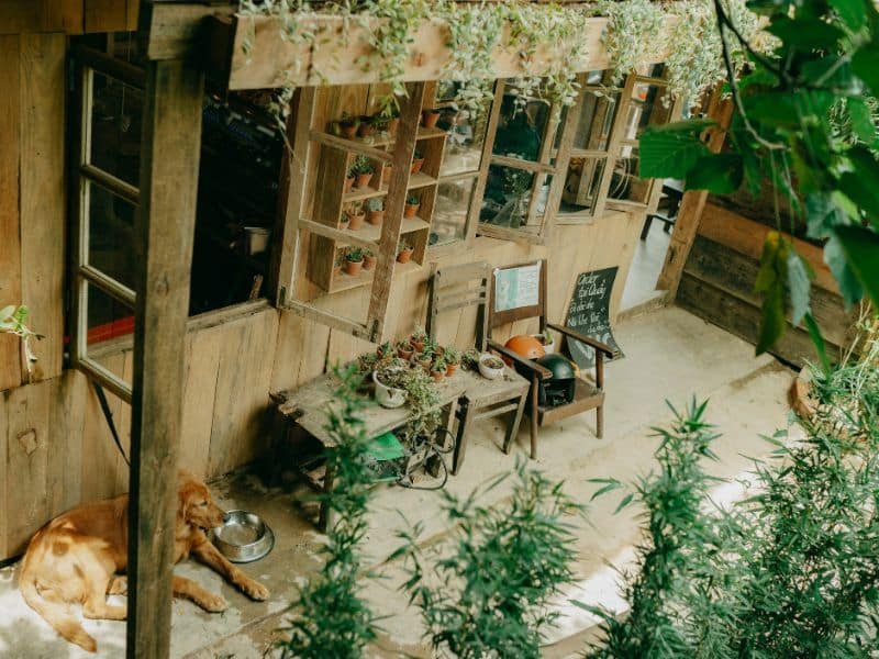 small backyard garden design with vertical plants and seating