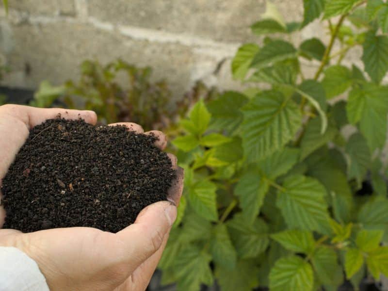 improving garden soil using compost and mulch