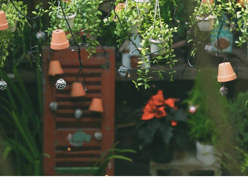 garden decoration ideas with lights, pots and plants