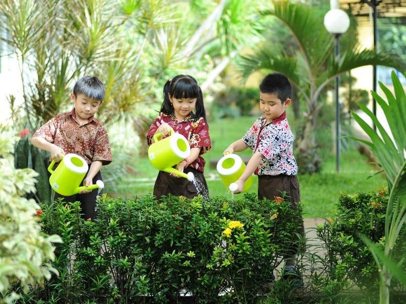 small garden landscaping ideas with clean and modern design