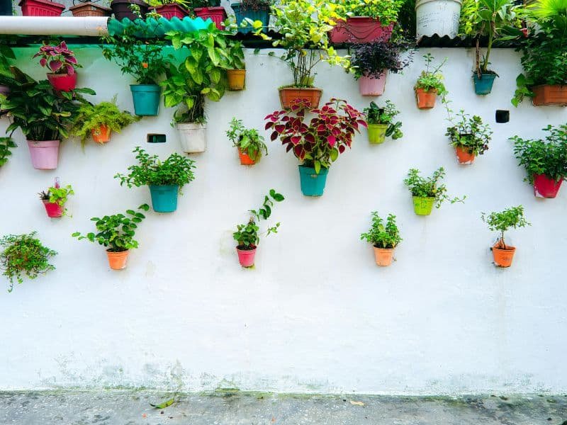 small garden vertical landscaping ideas with wall planters