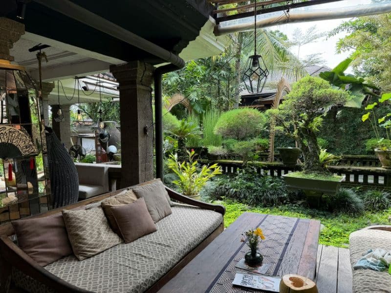 low maintenance garden ideas for home with clean layout