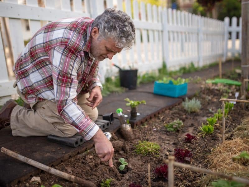 easy garden care routine for low maintenance garden