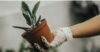 Creative Indoor Gardening Ideas for Small Homes - Post Thumbnail