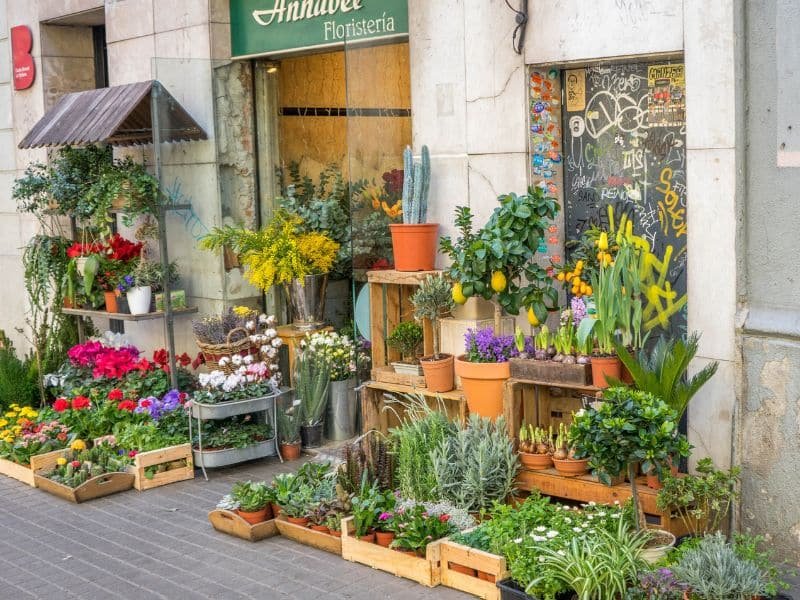 garden home ideas for small spaces with vertical gardening