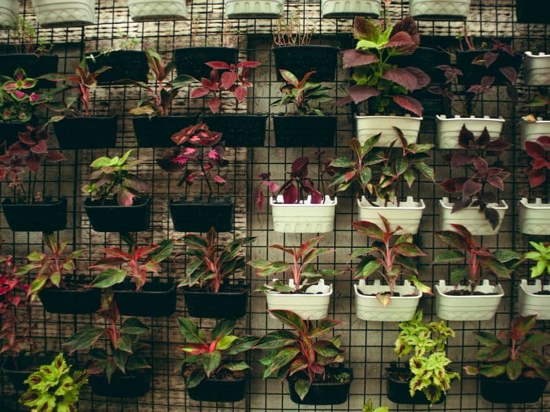 simple garden home ideas on a budget with DIY planters