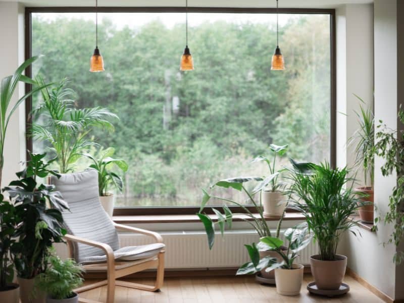 Indoor garden ideas for small apartments