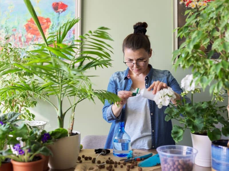 How to make an indoor garden step by step