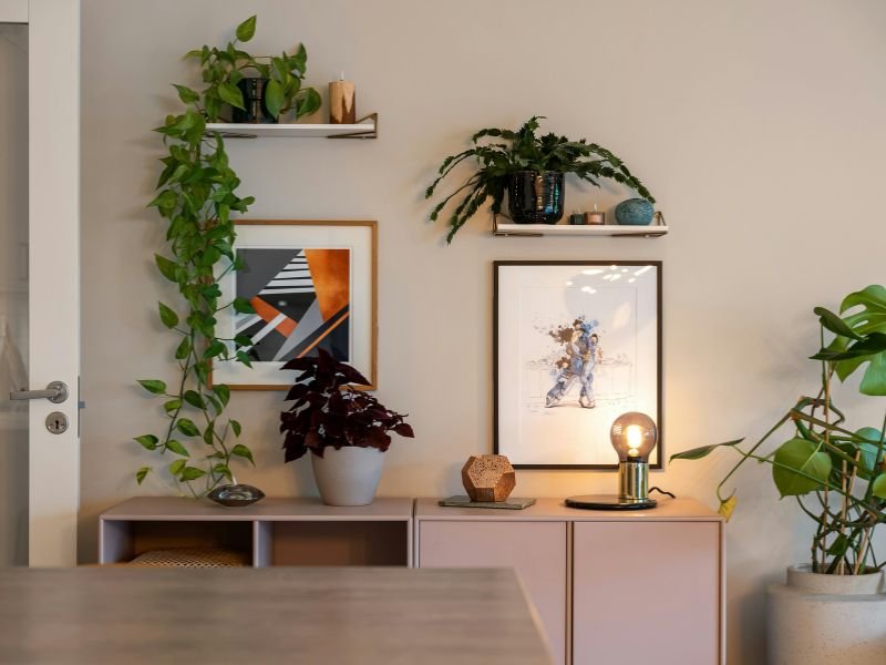 What indoor plants do well with low light
