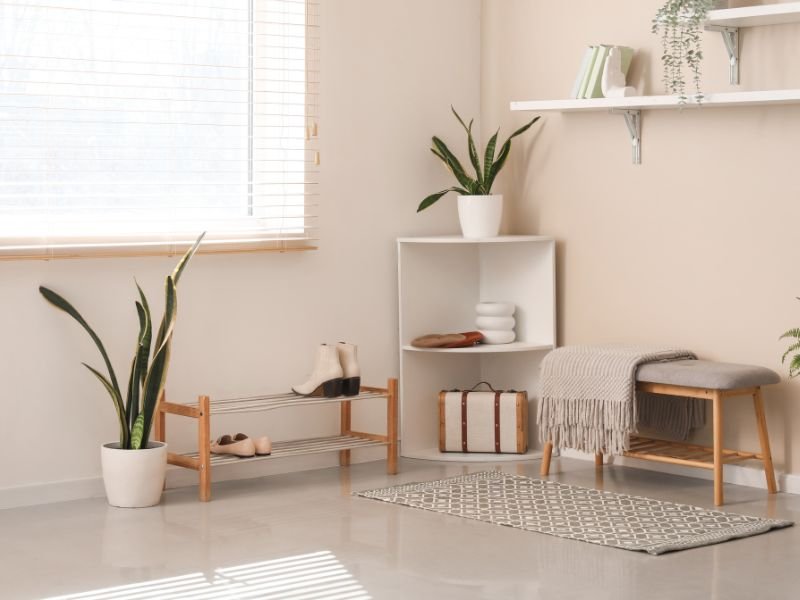 Houseplants that do well in low light