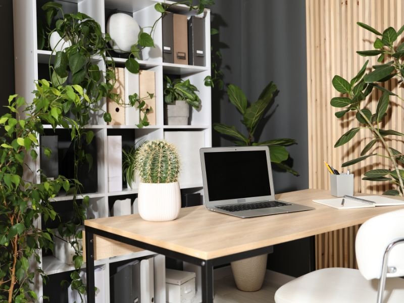 Indoor plants in office workspace