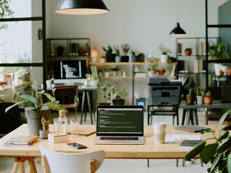 Easy indoor plants for office