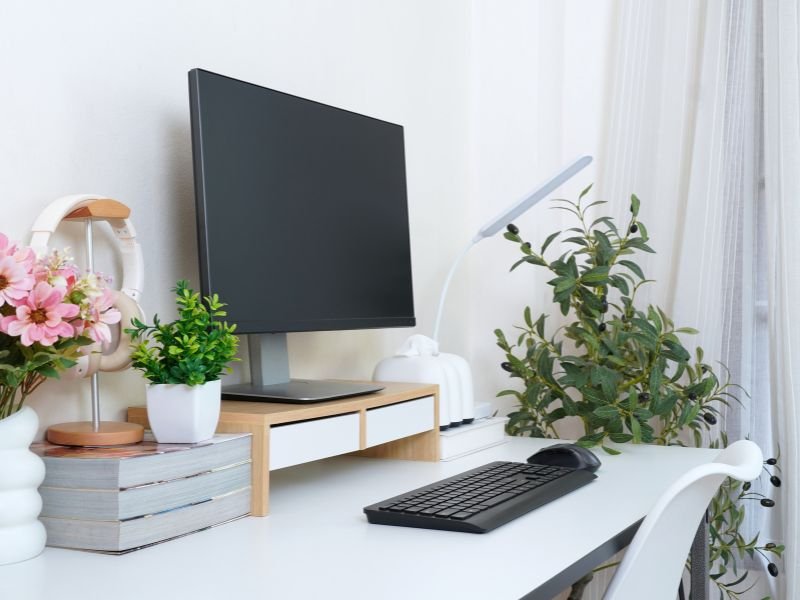 Indoor plants in office desk