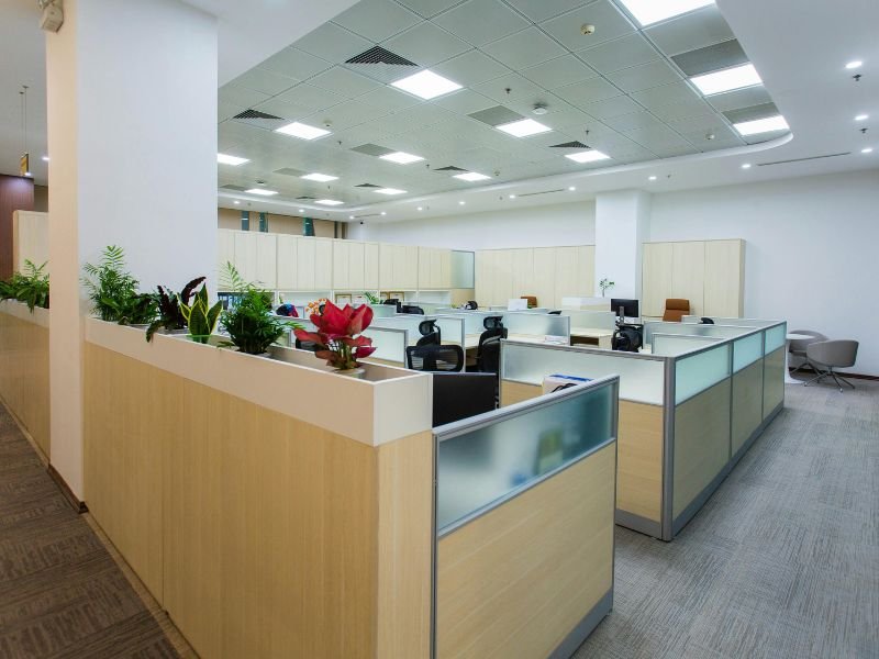 Indoor plants in office for better air quality