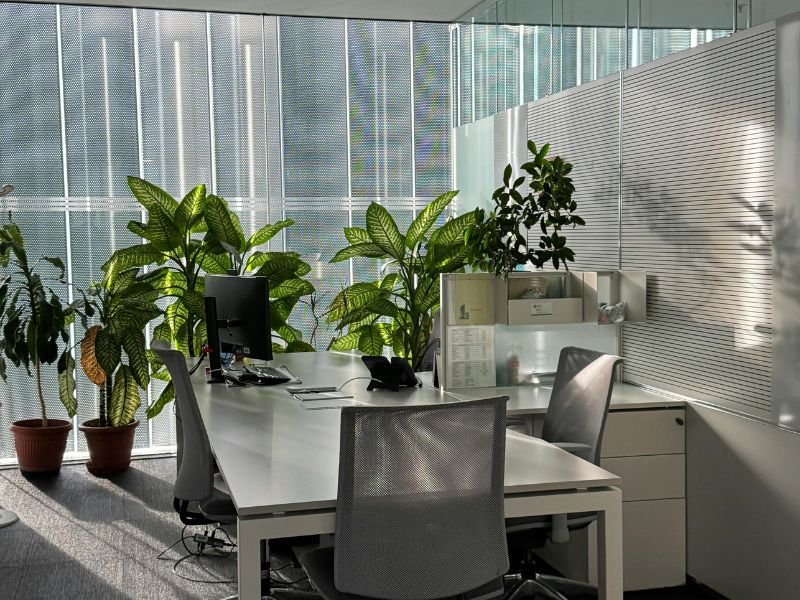 Best plants for inside office