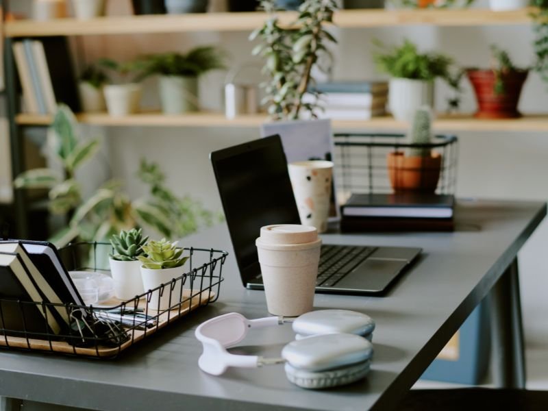 Indoor plants in office table