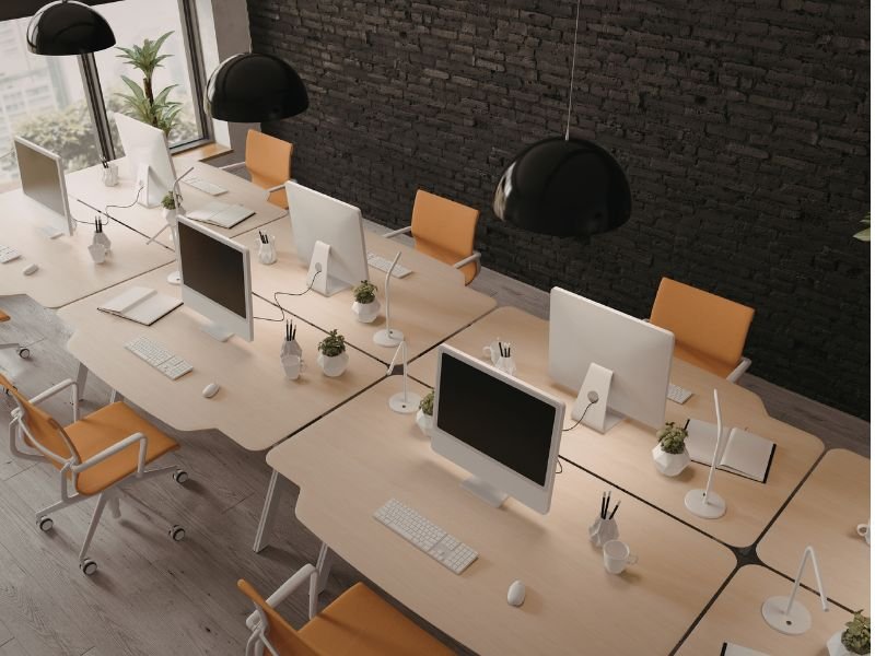 Indoor plants in office space