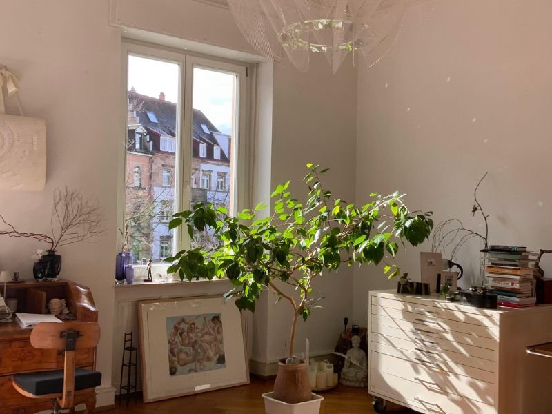 How to have plants in a room with no windows