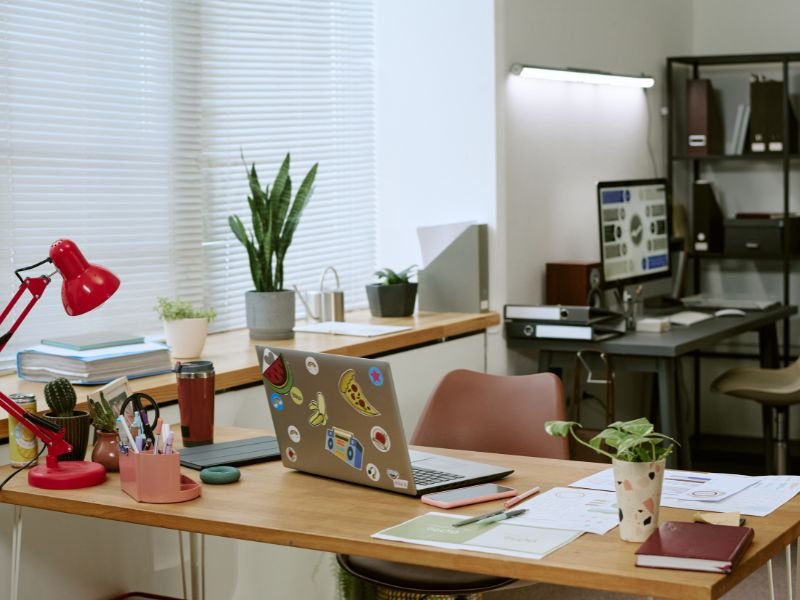 Benefits of indoor plants in office