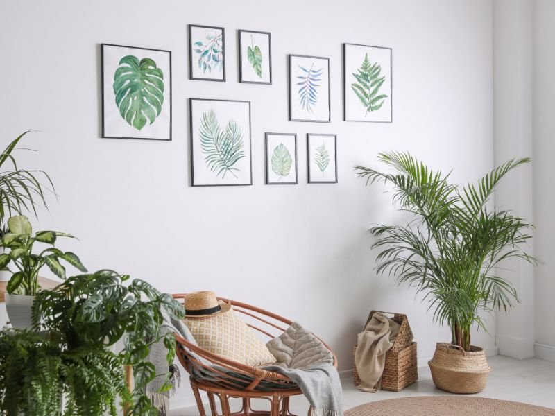 Where to put plants in a small apartment