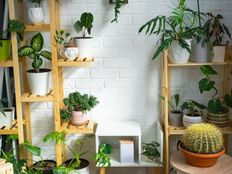 How to create a small space indoor garden