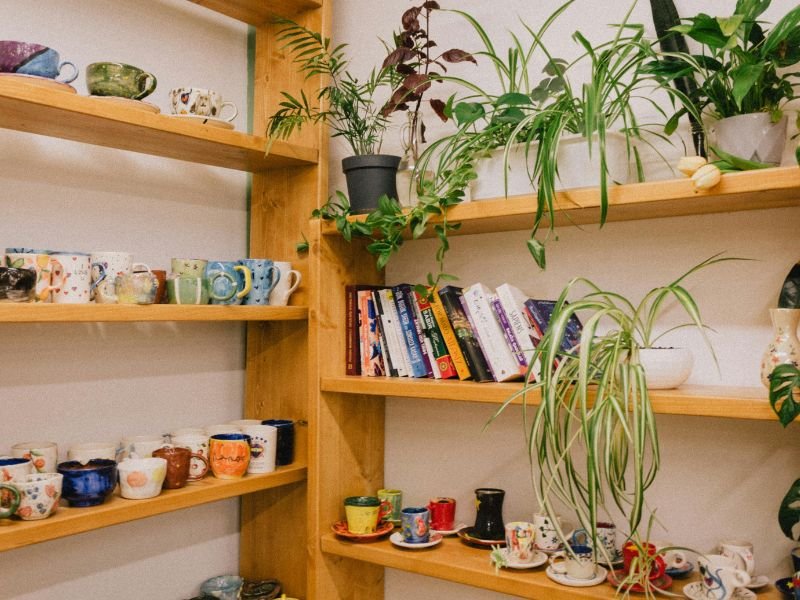 Small space indoor garden with compact plants