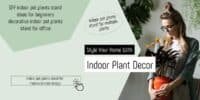Indoor Pot Plant Stand – Complete Guide with Pots, Growing & Decoration Tips