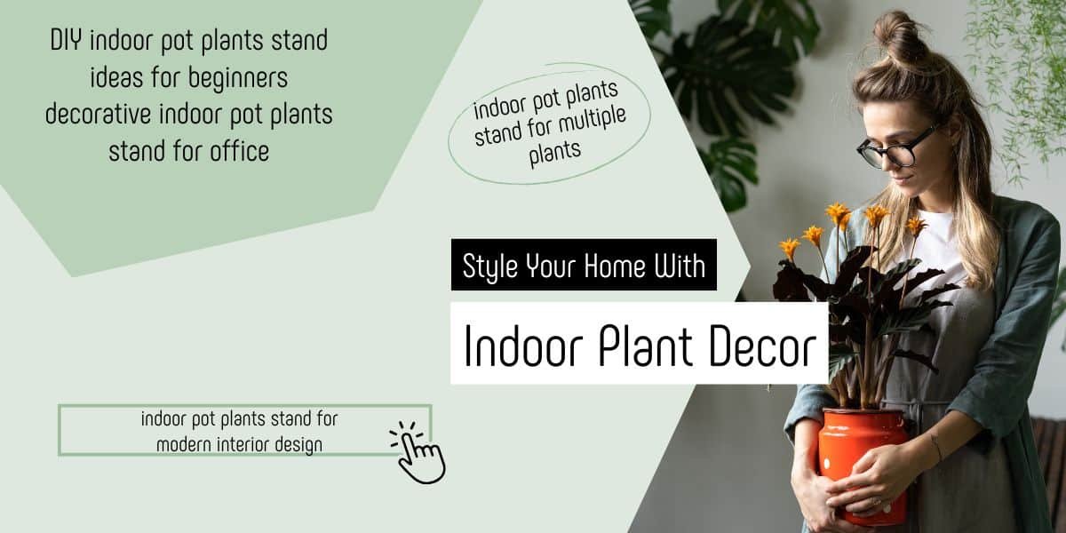 Indoor Pot Plant Stand – Complete Guide with Pots, Growing & Decoration Tips